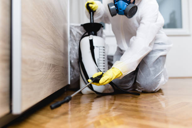 Best Pest Removal Services  in Botkins, OH