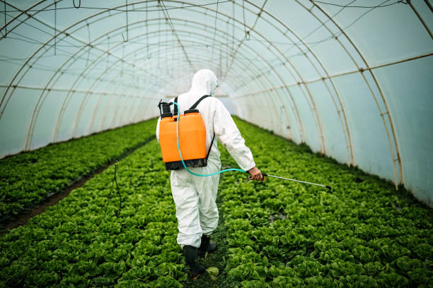 Best Pest Control Treatment  in Botkins, OH