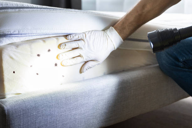 Best Pest Inspection Near Me  in Botkins, OH