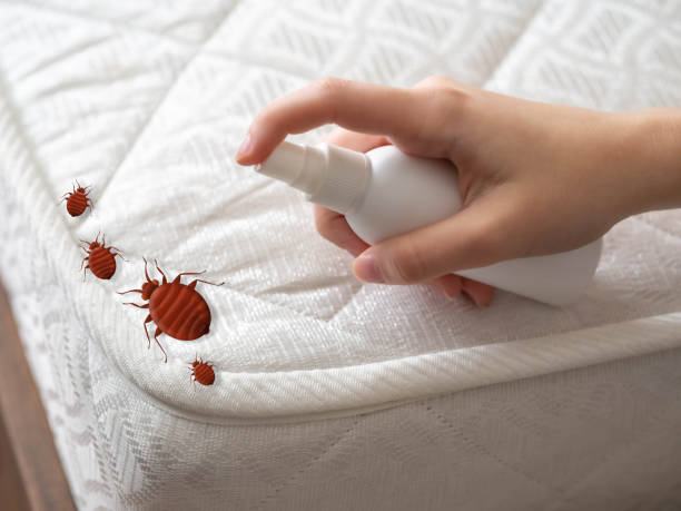 Best Flea Control Services  in Botkins, OH