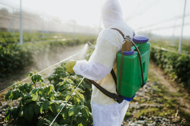 Best Commercial Pest Control Services  in Botkins, OH